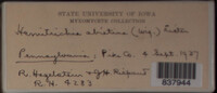 Image Associated With the Occurence